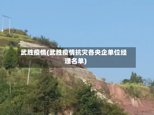 武胜疫情(武胜疫情抗灾各央企单位经理名单)